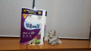 민댕댕이님이 올린 리뷰 사진 1
