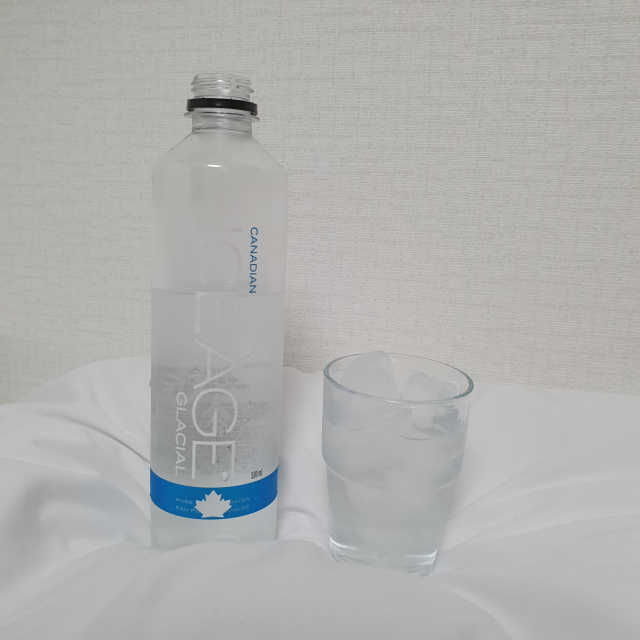 아이스에이지 리뷰 사진