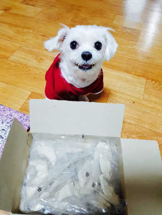 나는펫 100% 국산닭가슴살1BOX/30입 — 5점을 준 리뷰어가 2016년 12월 올린 사용 사진