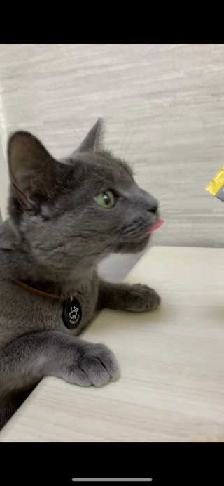 경던님이 올린 리뷰 사진 1