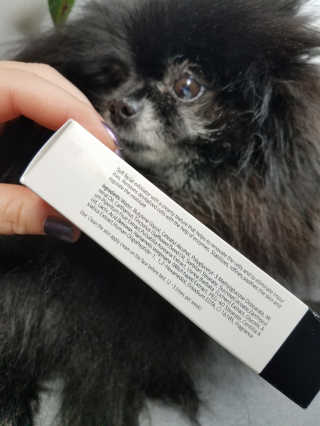 Peepingpomeranian님이 올린 리뷰 사진 3