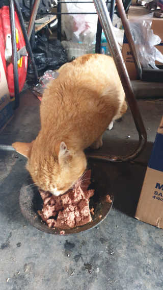 미호니님이 올린 리뷰 사진 3