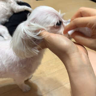 챔미님이 올린 리뷰 사진 2