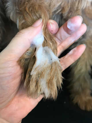 조언니님이 올린 리뷰 사진 4