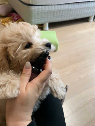 leah님이 올린 리뷰 사진 1