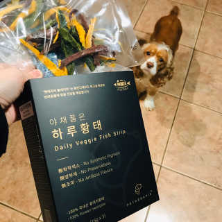 펫테라피 플레이트 야채품은 하루황태 — 5점을 준 리뷰어가 2020년 1월 올린 사용 사진