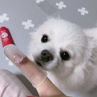 박수진님이 올린 리뷰 사진 1