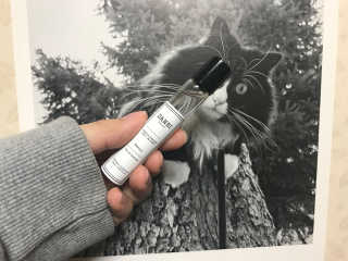 예니예니님이 올린 리뷰 사진 1