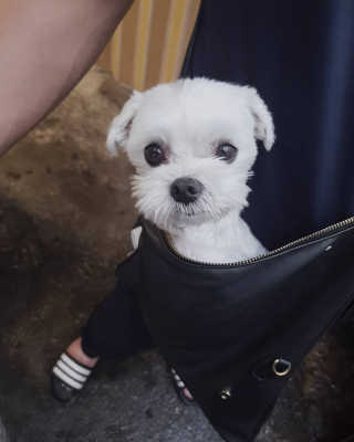 콩이님이 올린 리뷰 사진 3