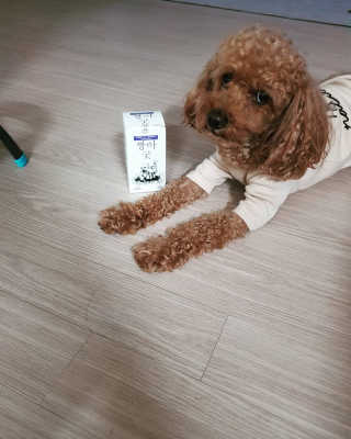 narae님이 올린 리뷰 사진 1