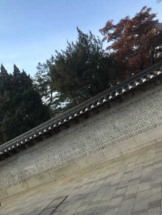 조아영님이 올린 리뷰 사진 1