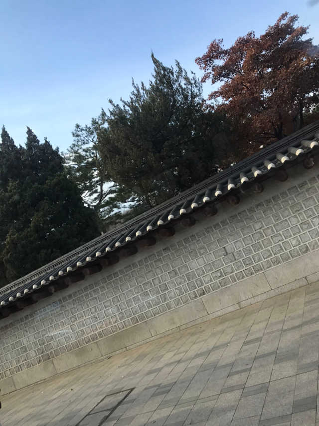 숙취해소 확실히! 아~개운愛 개운애 숙취해소환 리뷰 사진