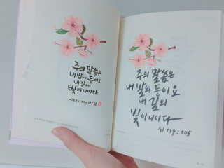 콩님이 올린 리뷰 사진 2