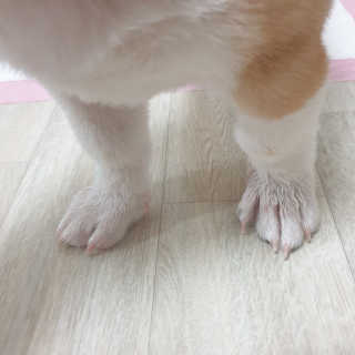 진이맘님이 올린 리뷰 사진 3