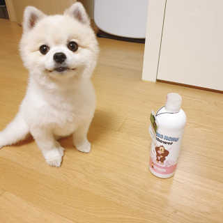 박잉님이 올린 리뷰 사진 2