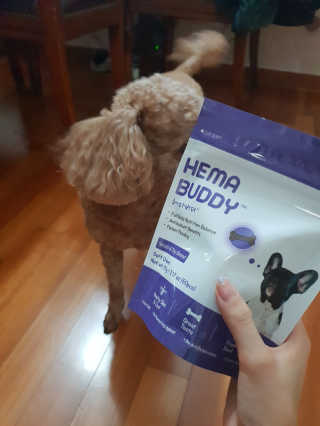 야딩님이 올린 리뷰 사진 3