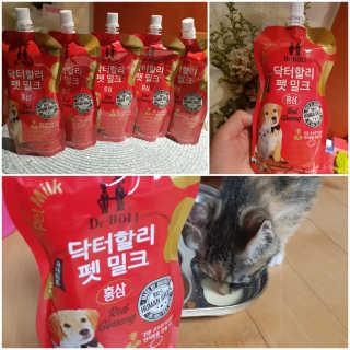 gajete님이 올린 리뷰 사진 1