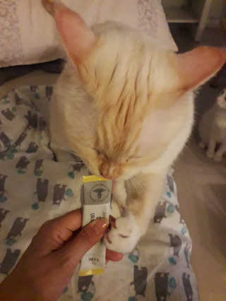 보라보라님이 올린 리뷰 사진 2