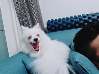 KimJoMania님이 올린 리뷰 사진 3