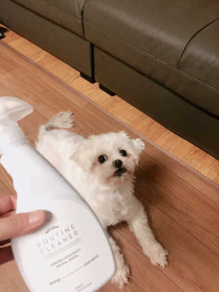 시아님이 올린 리뷰 사진 2