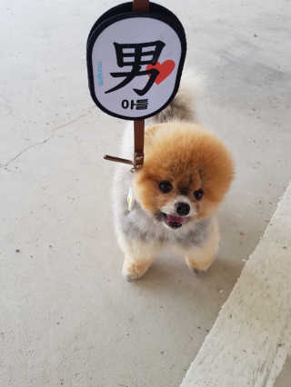 이엘리사님이 올린 리뷰 사진 1