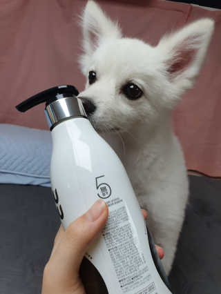 포비탄님이 올린 리뷰 사진 3