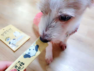 [펫토리아]짜먹는 한입뚝딱 강아지.고양이 마약간식 — 5점을 준 리뷰어가 2019년 8월 올린 사용 사진