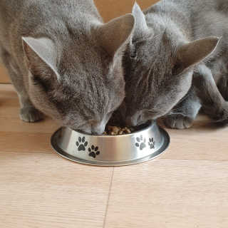 여온님이 올린 리뷰 사진 1