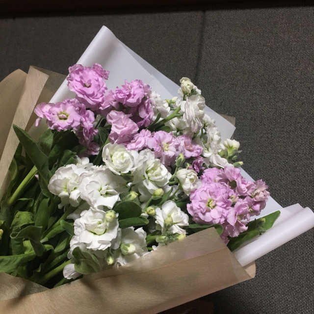 러블리샤루샤루포켓스킨팩 리뷰 사진