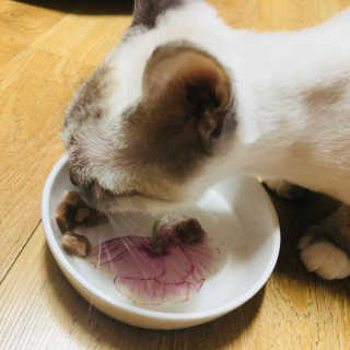 용이용님이 올린 리뷰 사진 2