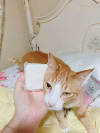 하린님이 올린 리뷰 사진 2