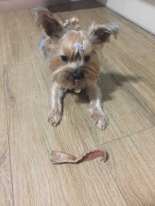 이미경님이 올린 리뷰 사진 2