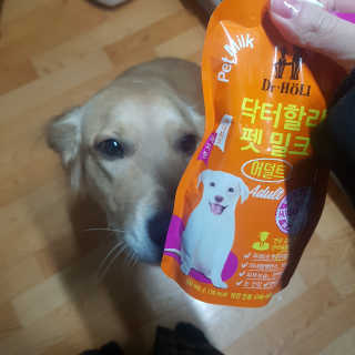 닥터할리펫밀크 8종 — 5점을 준 리뷰어가 2019년 1월 올린 사용 사진