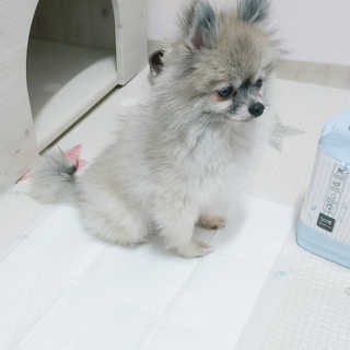 보람님이 올린 리뷰 사진 2