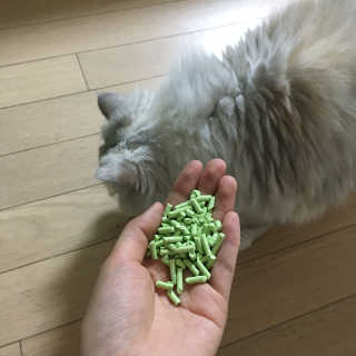 다조이님이 올린 리뷰 사진 2