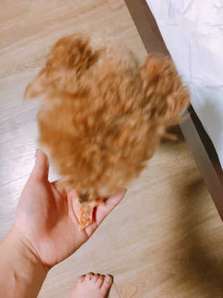 정썰님이 올린 리뷰 사진 2