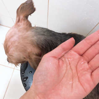 소링님이 올린 리뷰 사진 3