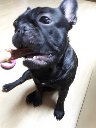 토르맘님이 올린 리뷰 사진 3