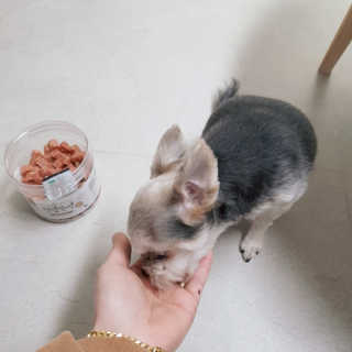 채유니님이 올린 리뷰 사진 2