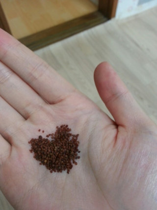 나봉봉님이 올린 리뷰 사진 1