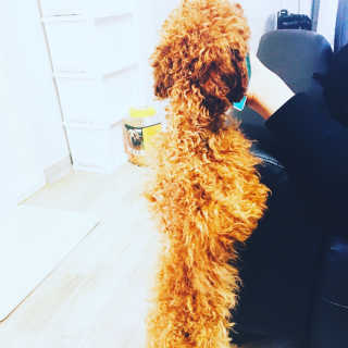 cola님이 올린 리뷰 사진 3
