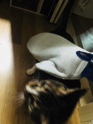 Yampie님이 올린 리뷰 사진 3