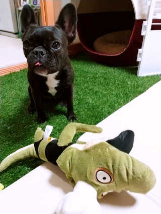 쩡님이 올린 리뷰 사진 4