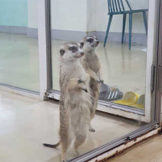 율집사님이 올린 리뷰 사진 2