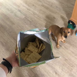 이륜의님이 올린 리뷰 사진 1
