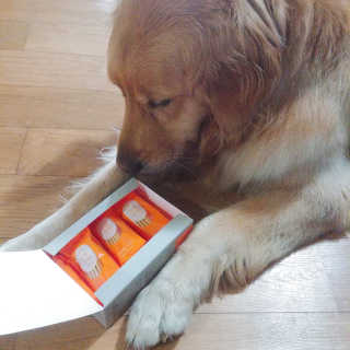 아보카도올리브님이 올린 리뷰 사진 3