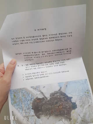 designerjs님이 올린 리뷰 사진 3