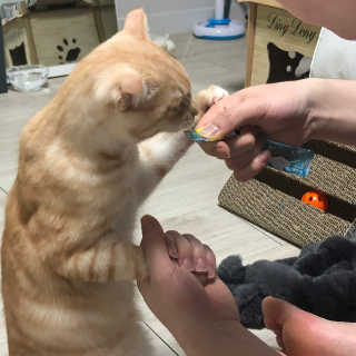 김민지님이 올린 리뷰 사진 3