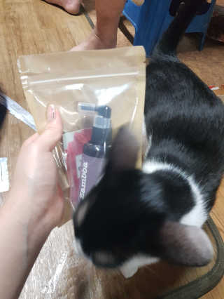 동그라미님이 올린 리뷰 사진 3