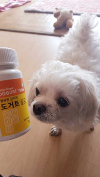또로링님이 올린 리뷰 사진 4